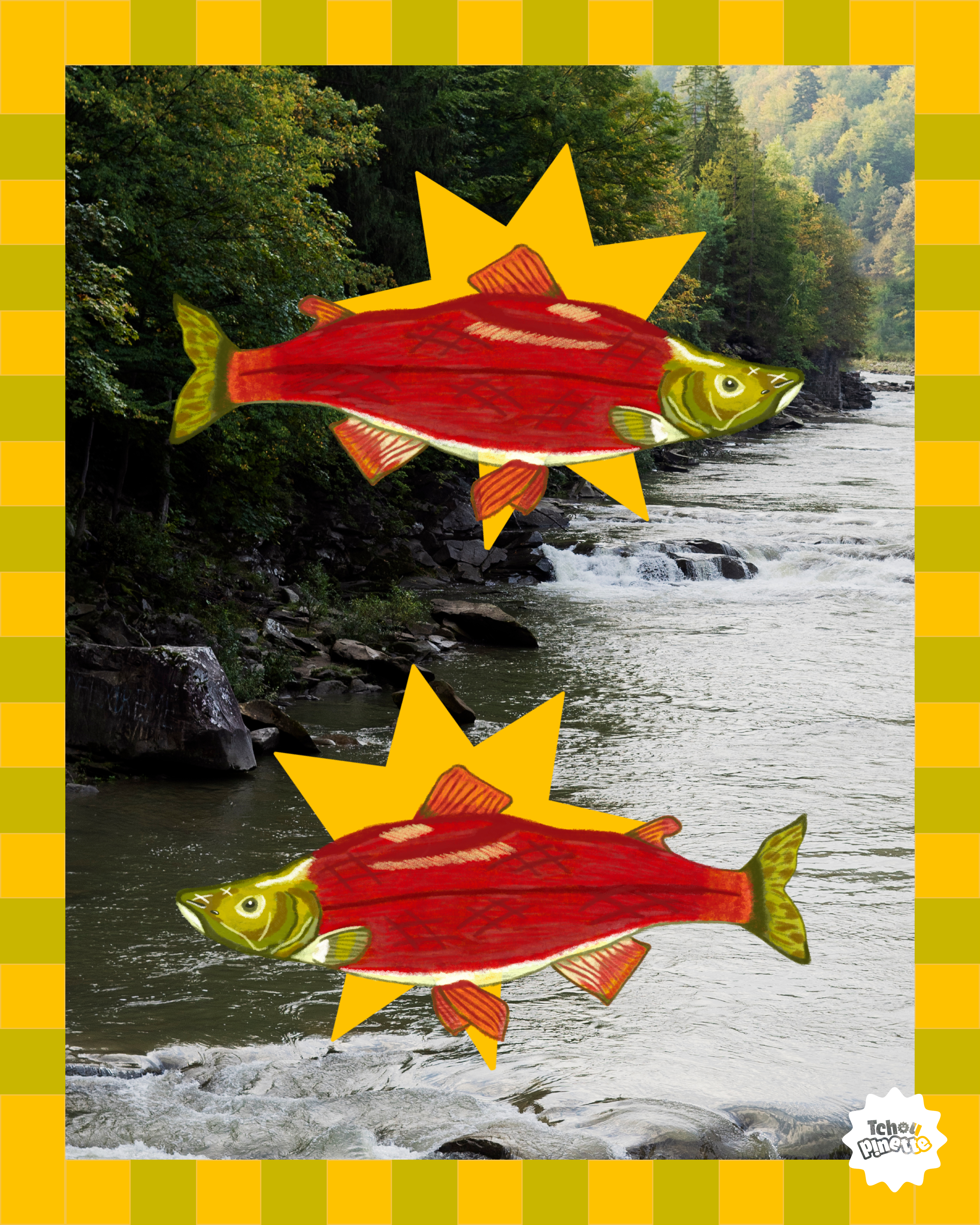 Création de visuel social media - Février 2026