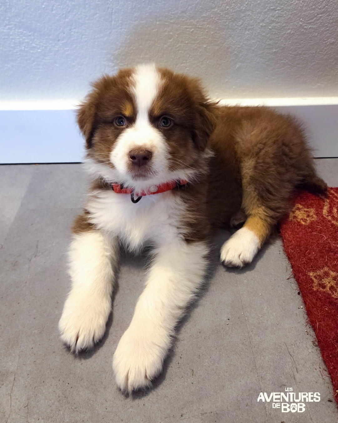 Création de visuel social media - Avril 2026