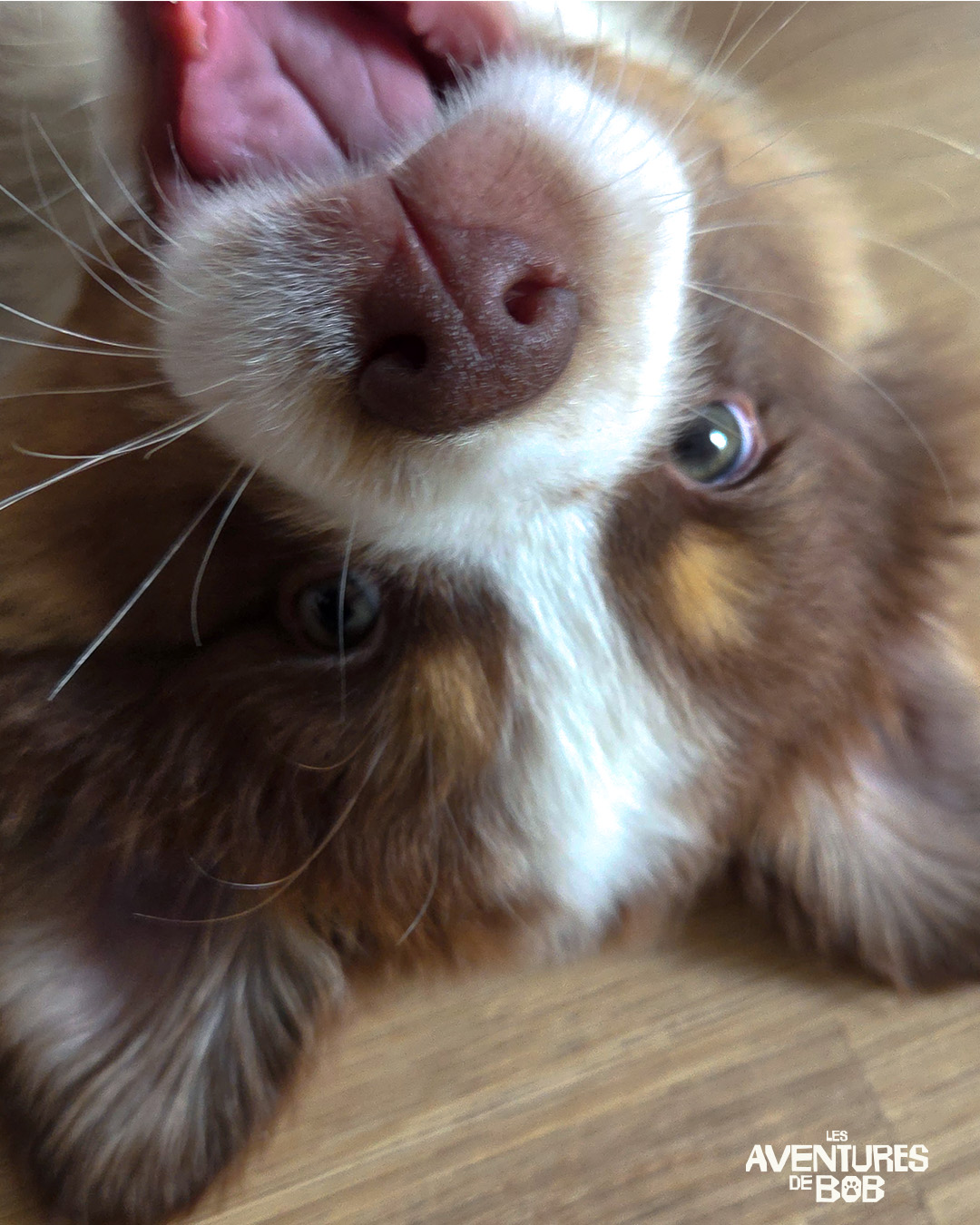 Création de visuel social media - Avril 2026