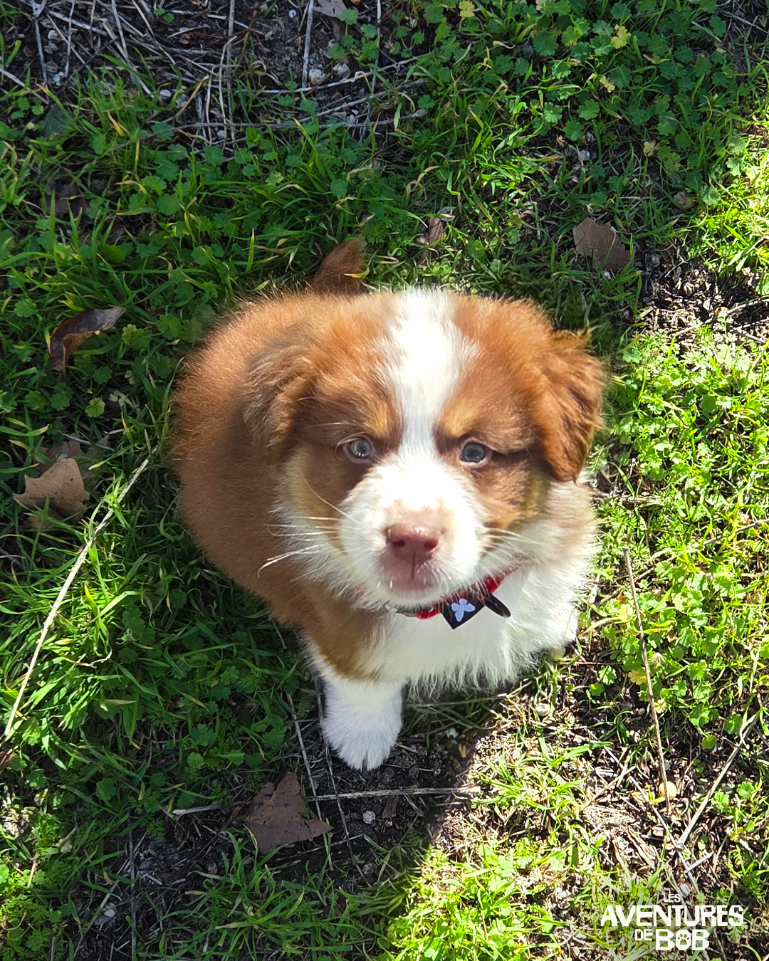 Création de visuel social media - Avril 2026